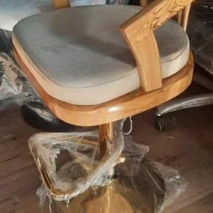 پیش‌نویس ۲۲۱